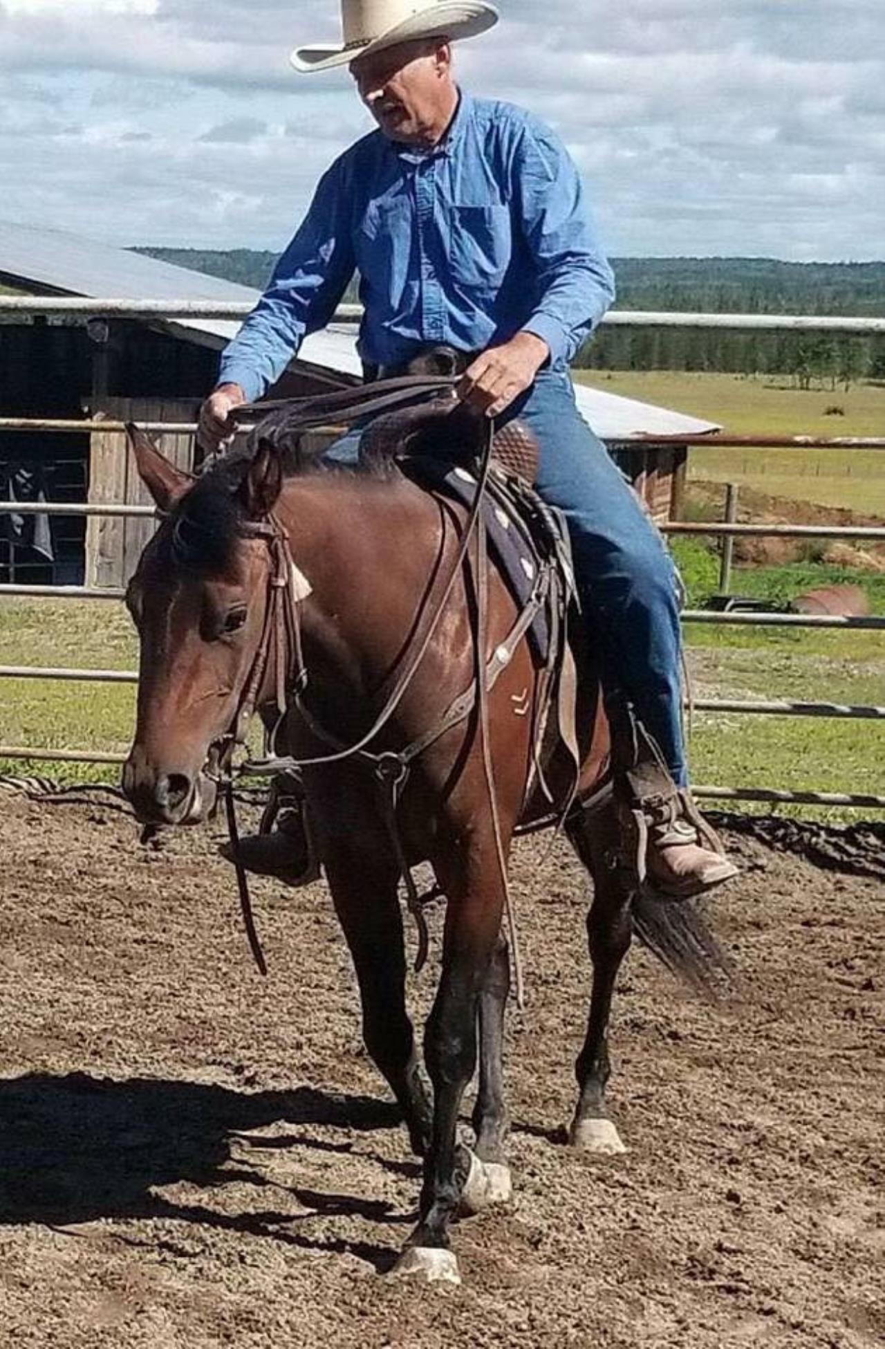 Home Heartland Quarter Horses